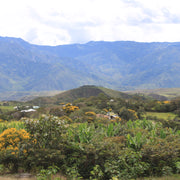 Apiaries